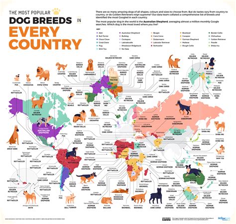 Dogs world - Mar 24, 2022 · french bulldog. beagle. german shepherd dog. poodle. bulldog. most popular breeds. It goes without saying that in your house, your dog is the most popular. But what do the statistics say? The ... 